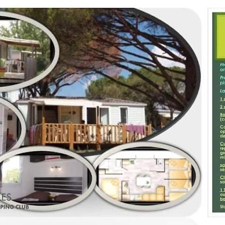 Mobil Home Detente 8 Personnes Le Muy Ngoại thất bức ảnh